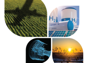 Leaf graphic with images of sustainable aviation system